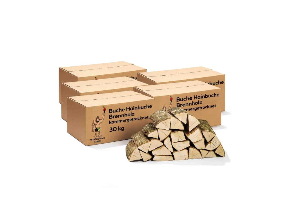 1-1-3.webp Brennholz Buche Hainbuche 180kg – Bild 1