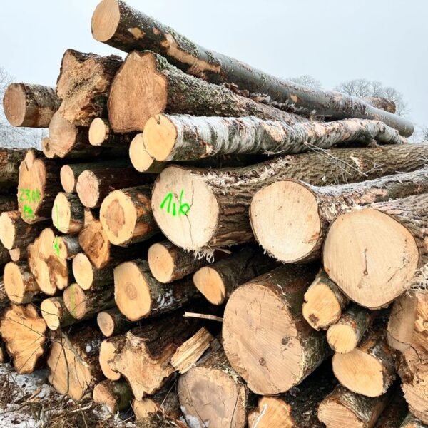 main-7.jpg Kiefer-Stammholz – Komplette LKW-Ladung 50 Raummeter – PEFC-zertifiziert – Bild 1