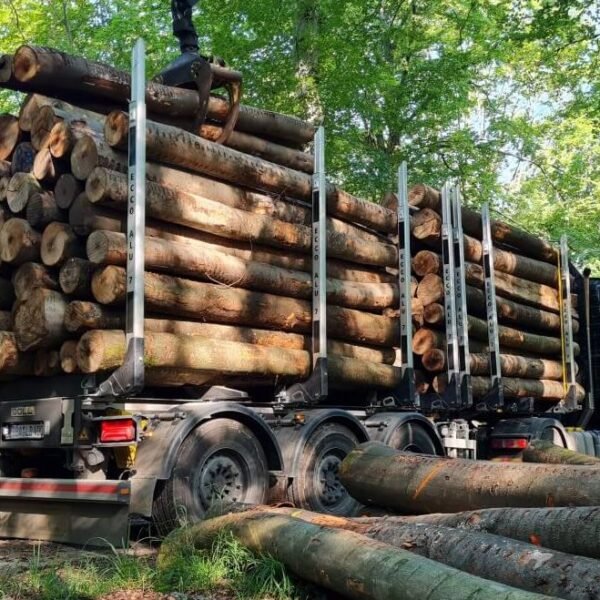 main-8.jpg Nadelholz-Stammholz – Komplette LKW-Ladung 50 Raummeter – PEFC-zertifiziert – Bild 1