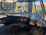 Holztrockner speziell zum Kochen auf einem Holzfeuer 30 cm 2,24 st – Bild 3